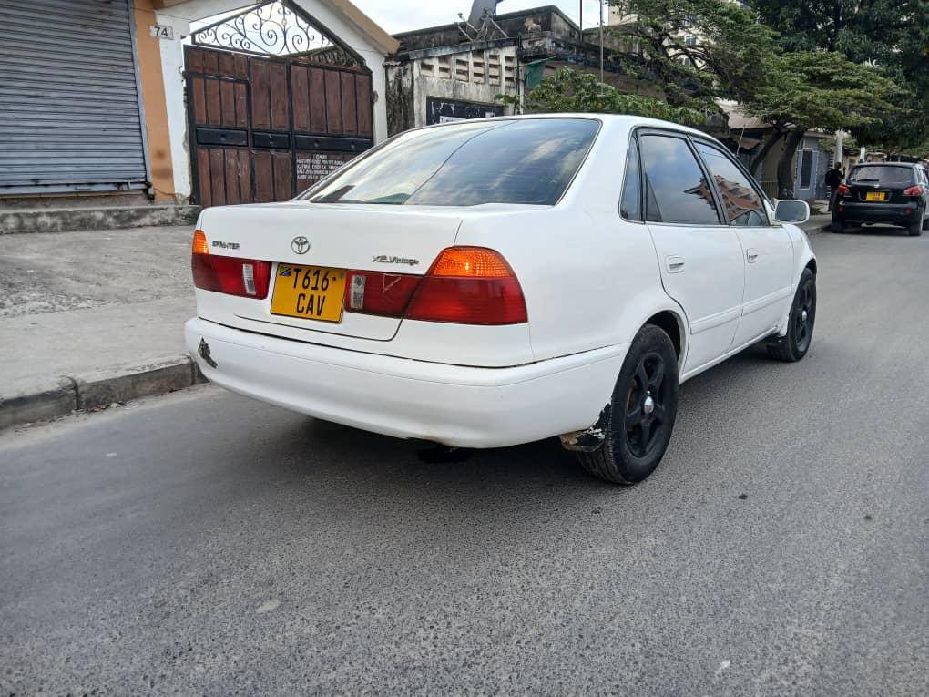 A picture of Kolla sprinter