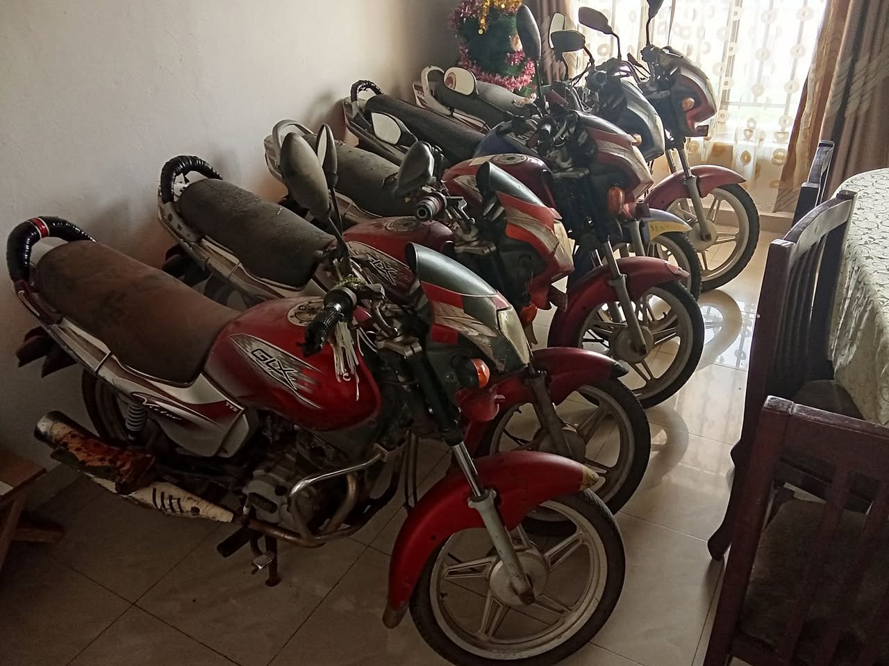 bikes