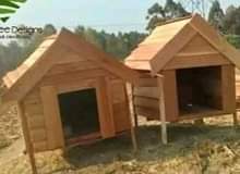 rooms to rent harare