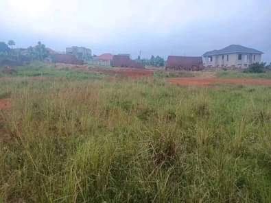 houses matugga