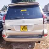 A picture of Landcruiser Prado TZ 49m