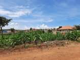 A picture of LAND DEAL IN KIRA NSASA AT UGX56M