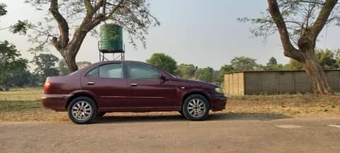 used nissan sylphy