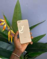 iphone 8
