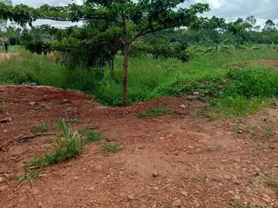 A picture of Commercial land