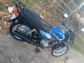 A picture of TVS CC 125