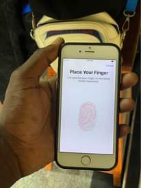 A picture of iPhone 6 plain