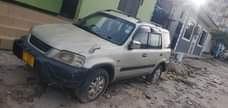 A picture of Honga