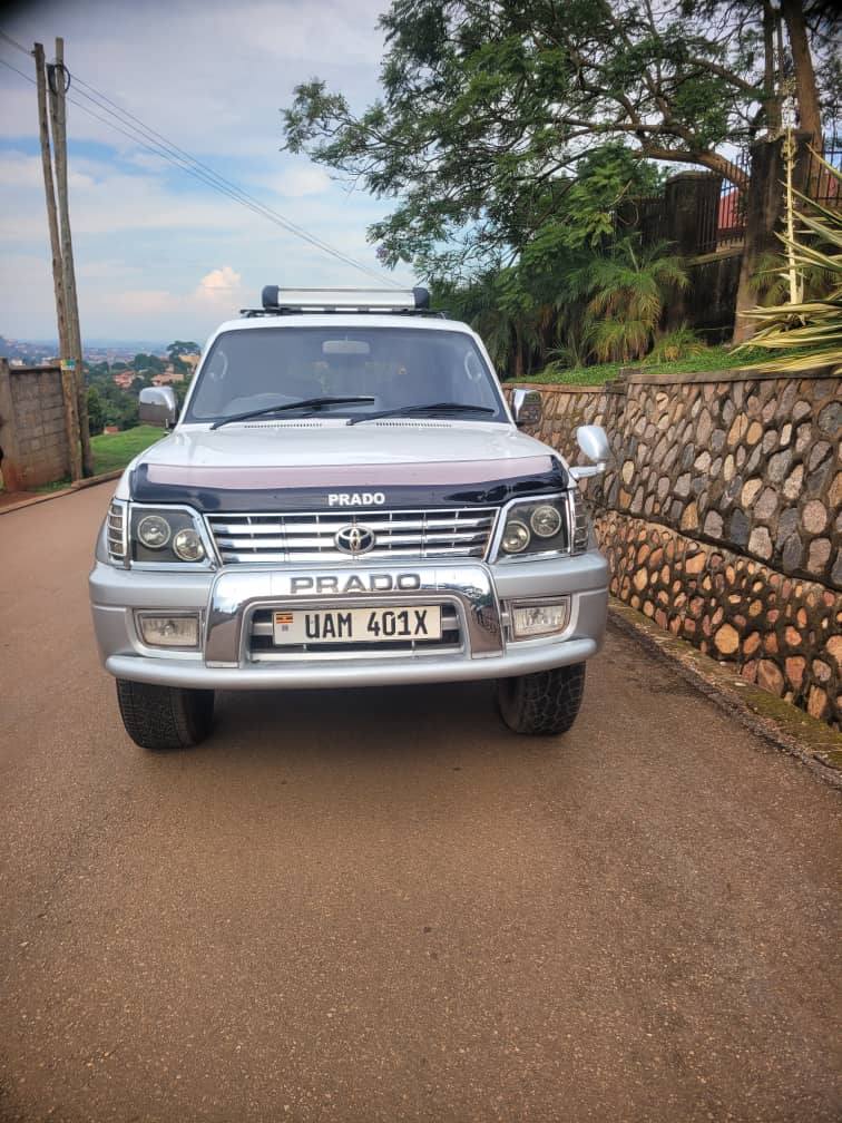 A picture of prado tz