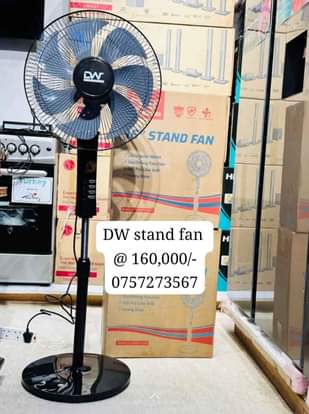 A picture of Fan