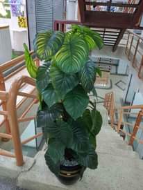 A picture of Home decor