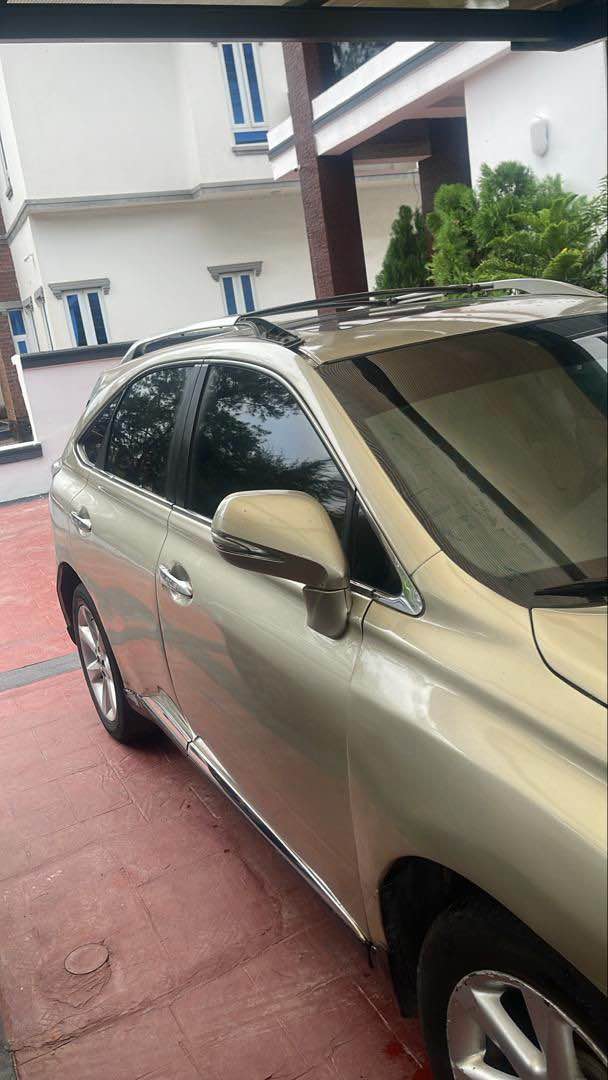 A picture of 2010 Lexus Rx350
