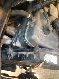 A picture of Suzuki Cary