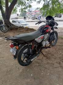 A picture of Boxer cc 125