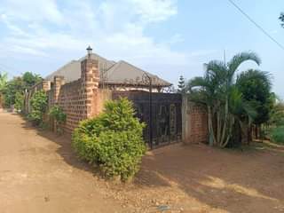 A picture of MUKONO TOWN. 95m TITLED offer 3bedroom self contained 13 decimals