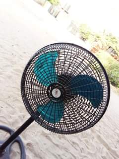 A picture of Feni Soyi