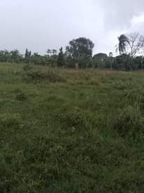 A picture of Land