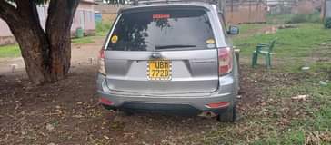 A picture of Forester