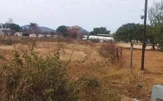 stands