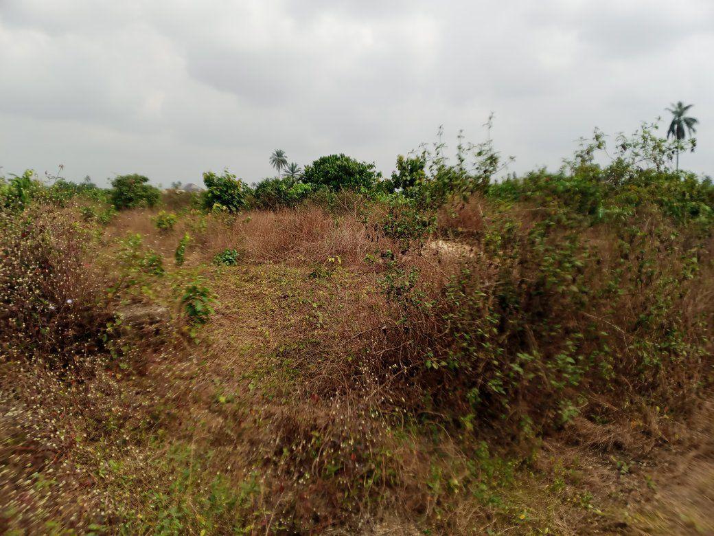 A picture of Landed property