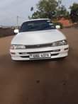 A picture of kikumi on sale 7 5million 0783138852 serious buyer only
