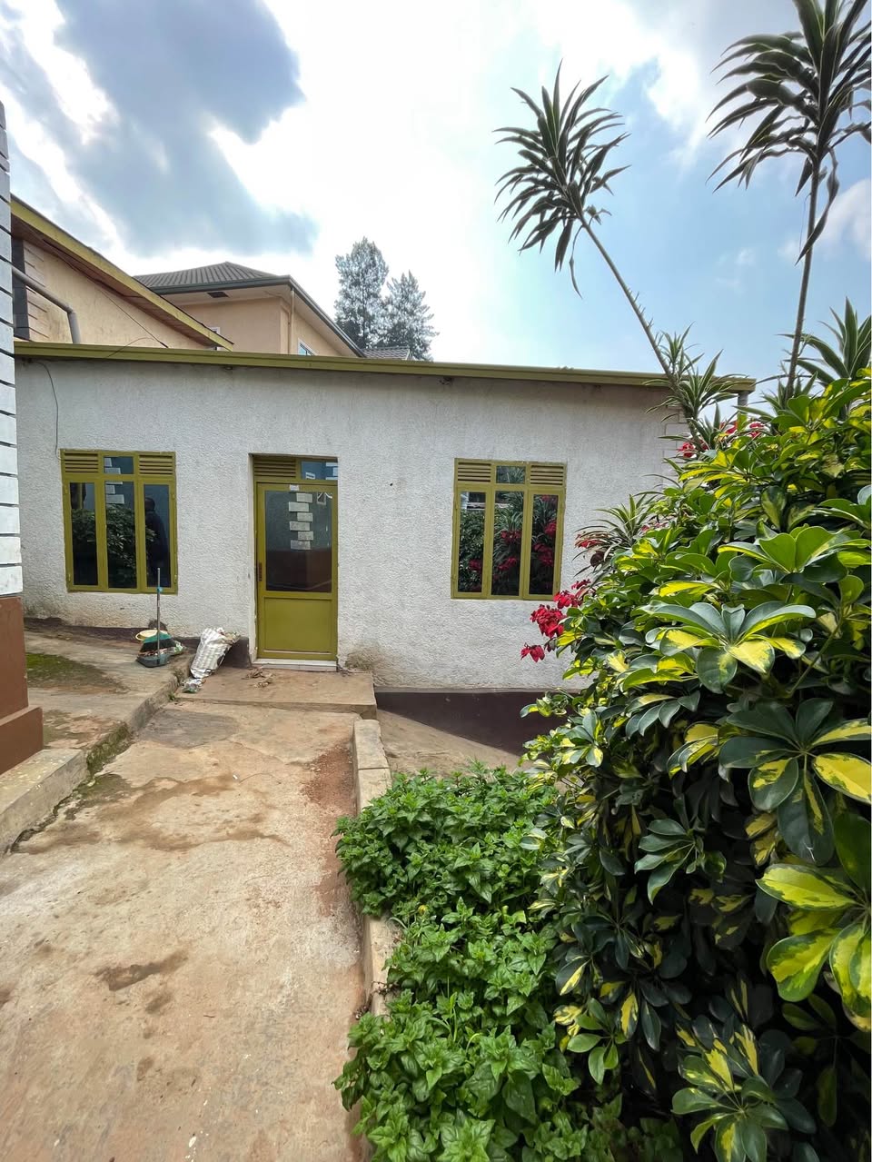 houses for rent