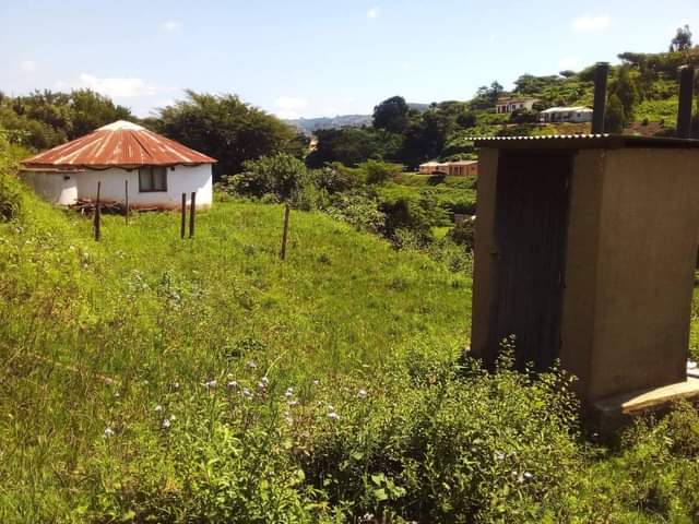 Ndumiso T.