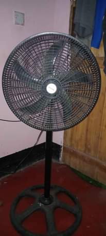 A picture of FENI INAUZWA BEI POA SANA