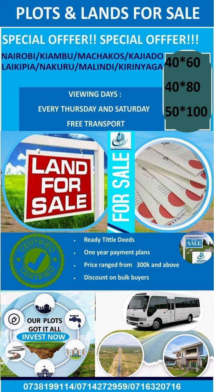 Lorenzo L.