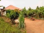 A picture of Buloba mityana rd quick sale house