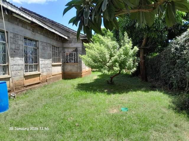 house kahawa