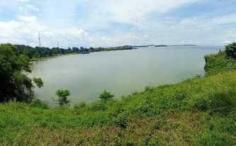 A picture of Land