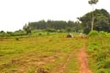 A picture of GOBERO KYEGEZA ESTATE 50BY100 AT 6M ONLY AGREEMENT LAND
