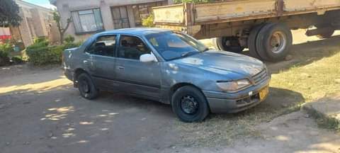 toyota corona
