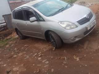 Mayombo G.