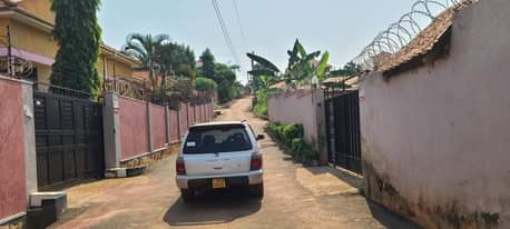 A picture of Najjera home on sale 290million 27decimals titled. Has banana plantation.