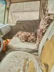 A picture of Nissan cabstar
