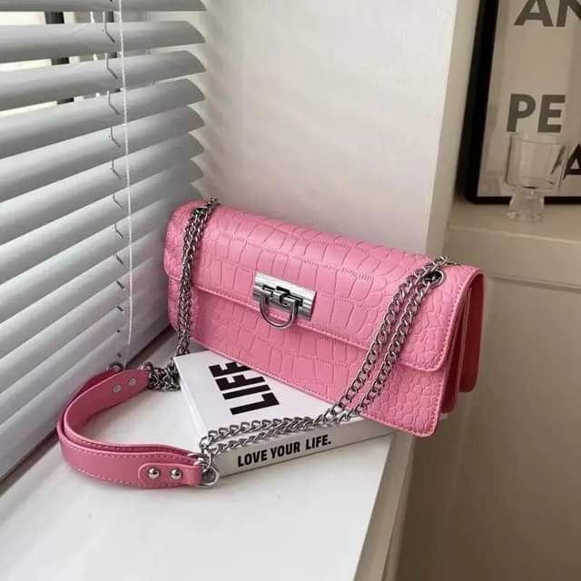 A picture of French niche chain bag