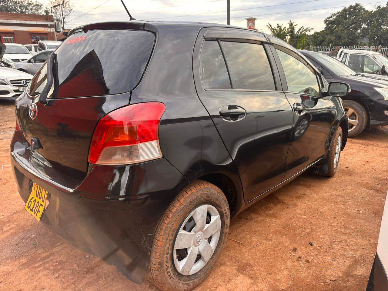 A picture of Vitz