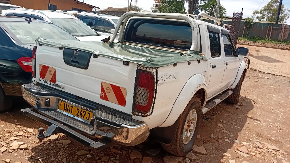 A picture of Nissan hard body