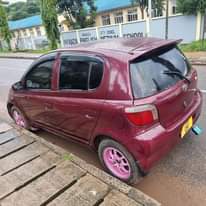 A picture of Vitz