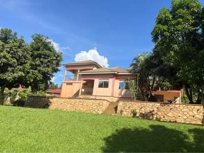 A picture of House for sale in Kira buwate