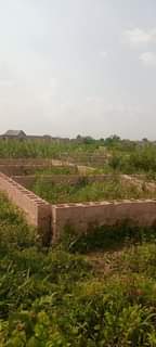 A picture of Land foundation