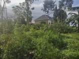 A picture of Land