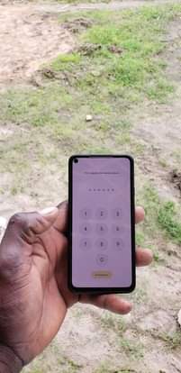 A picture of Pixel 5