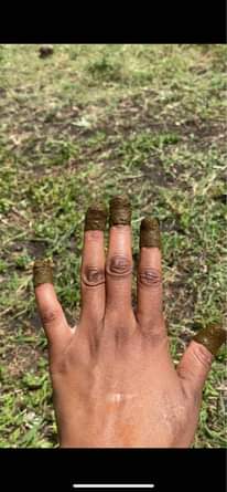 A picture of Natural Hina