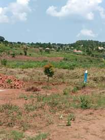 A picture of QUICK SALE SALE in Nsagu on Nakawuka road