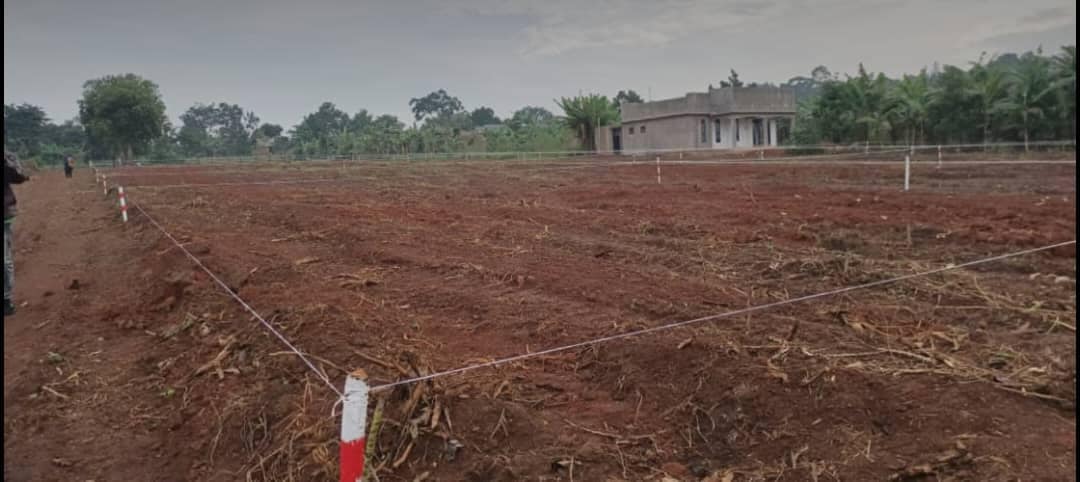 A picture of We sale lands
