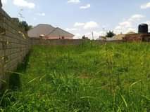 A picture of Good plot in fence for sale measuring 50ftby100ft asking price