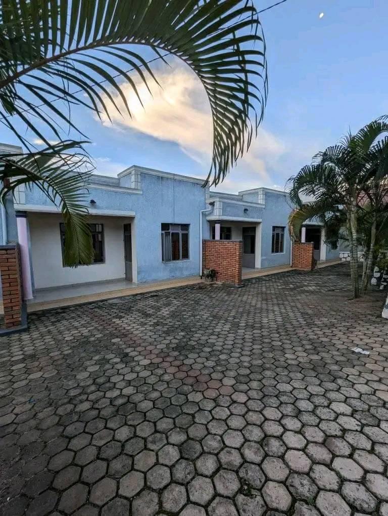 houses for rent
